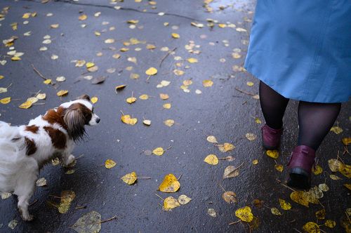 Необъяснимое