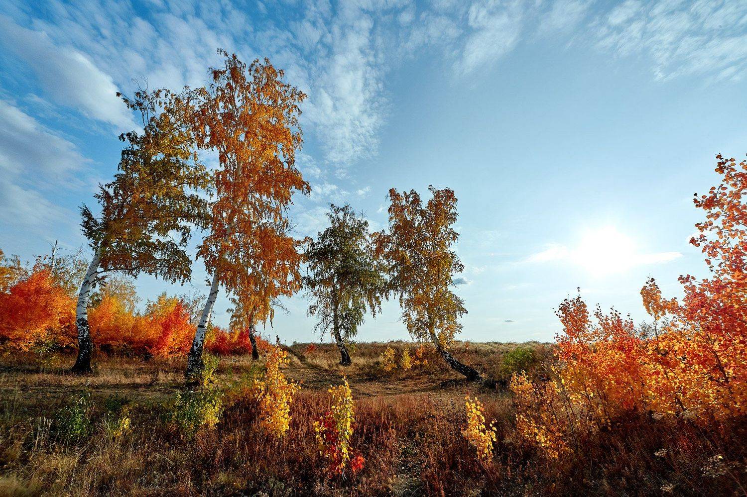 южный урал,оренбургская область, орск, новотроицк,, Качурин Алексей