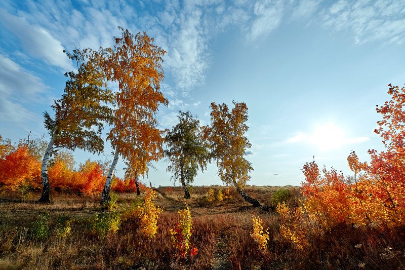 южный урал,оренбургская область, орск, новотроицк, Вечерне-осенняя. фото превью