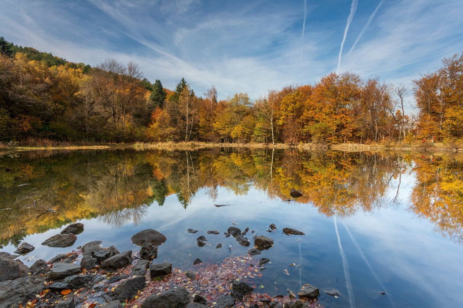 , Александър Сандев