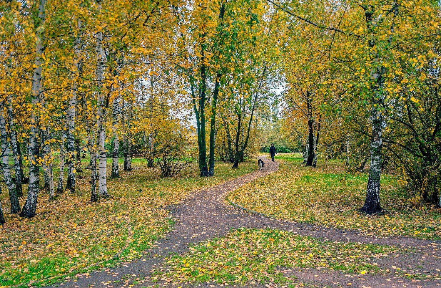 ,  Валерий