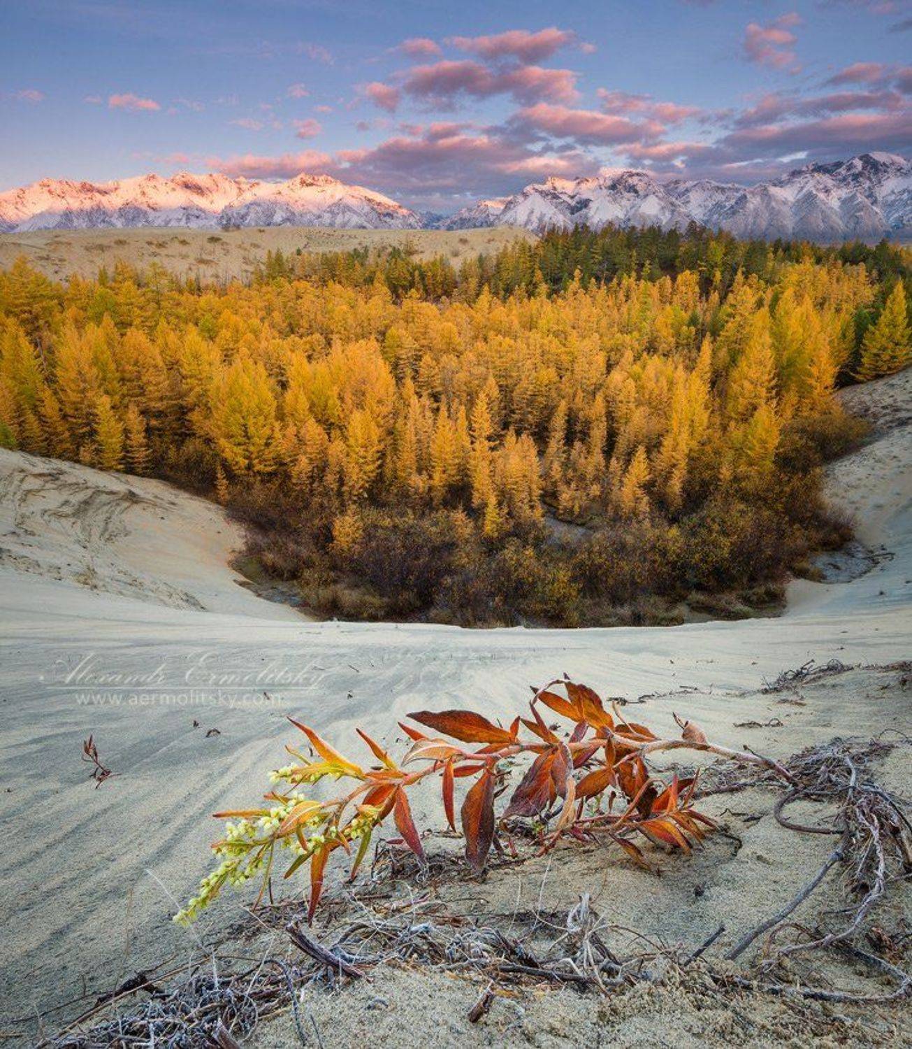 забайкалье, кодар, Александр Ермолицкий