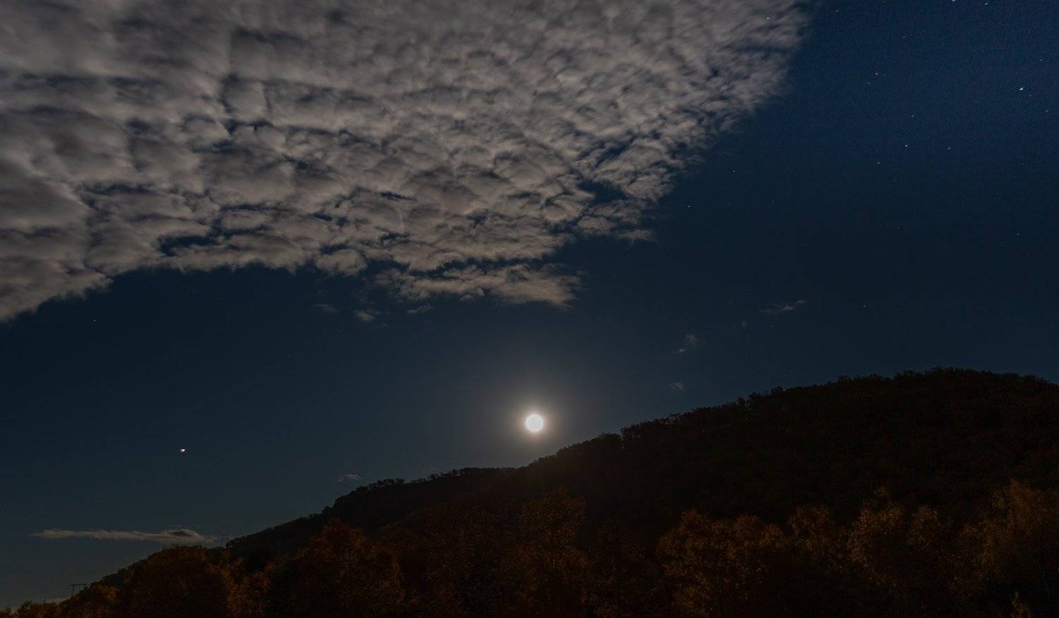 , Александр Максин