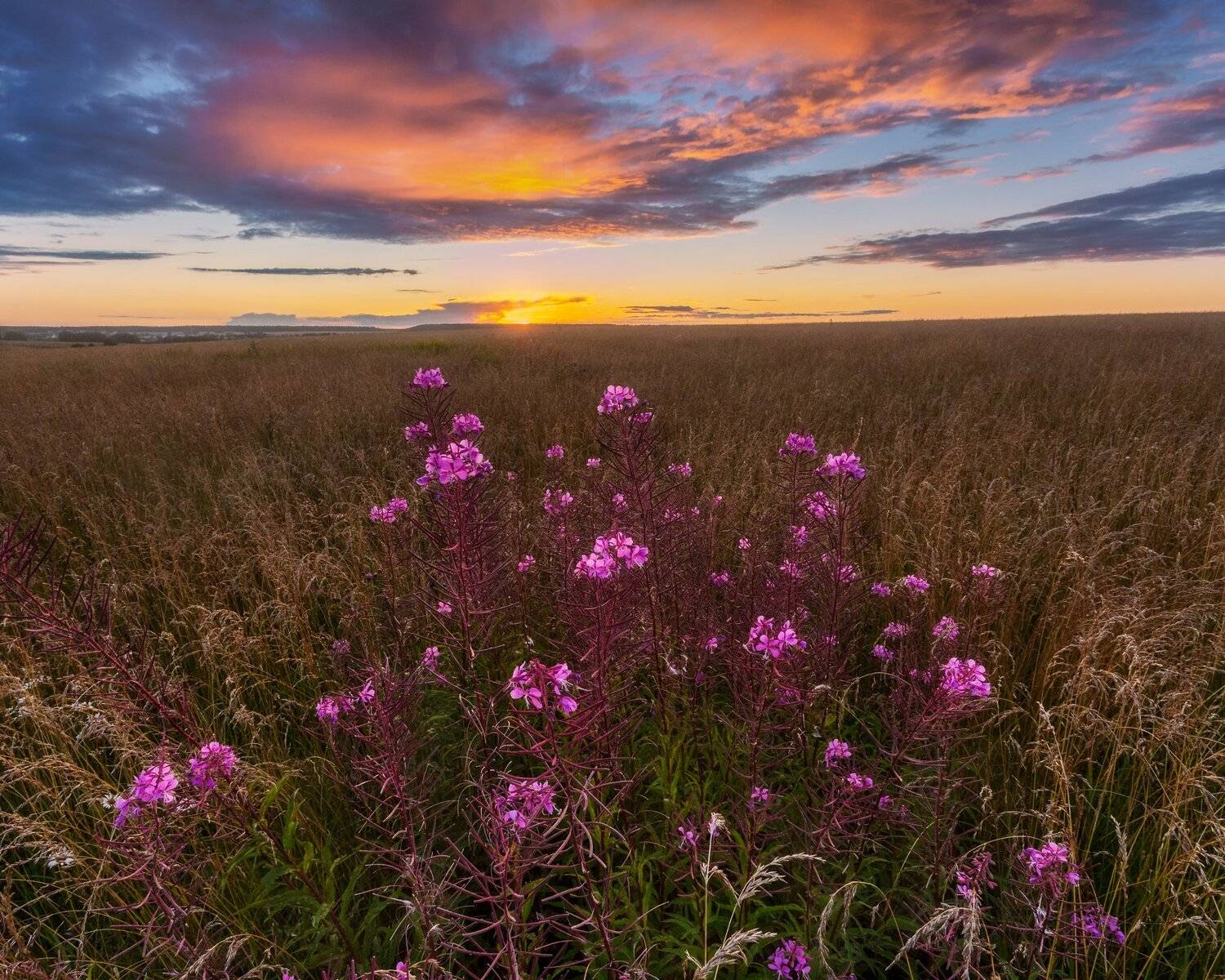 пейзаж, закат, лето, Московская область, природа, красочный закат, Мартыненко Дмитрий