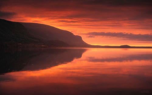 Сейд багряно-золотой