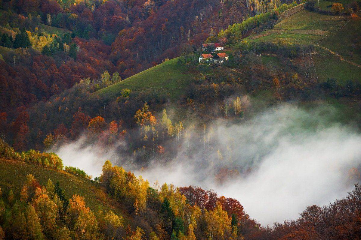 , Stefan Chirobocea