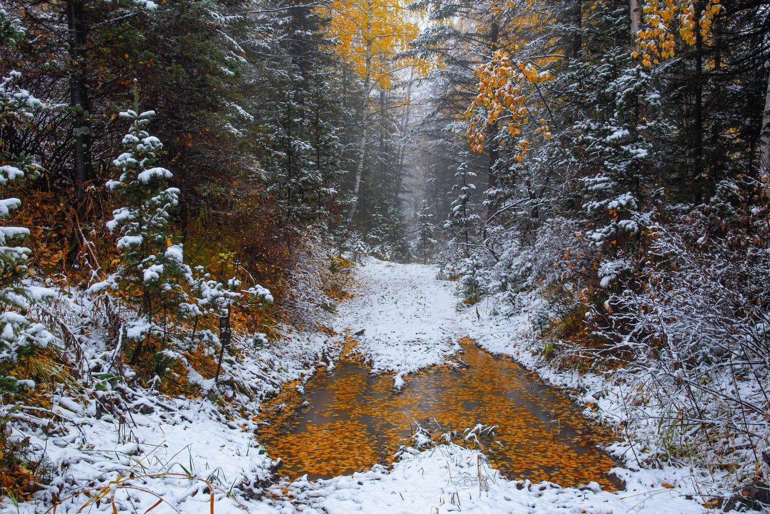 алтай. осень. горы., Евгений Дроботенко
