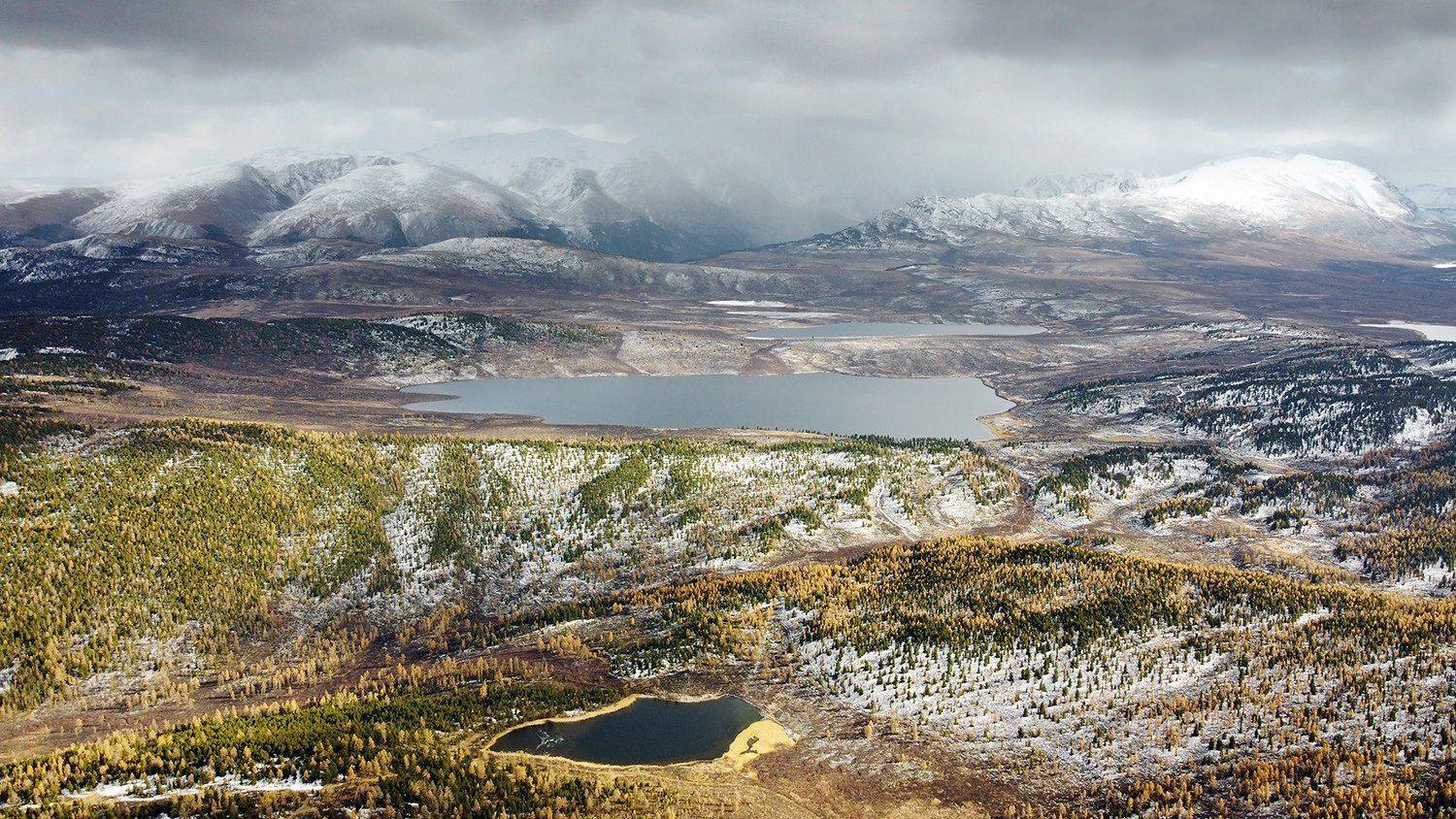 , Дмитрий Д.