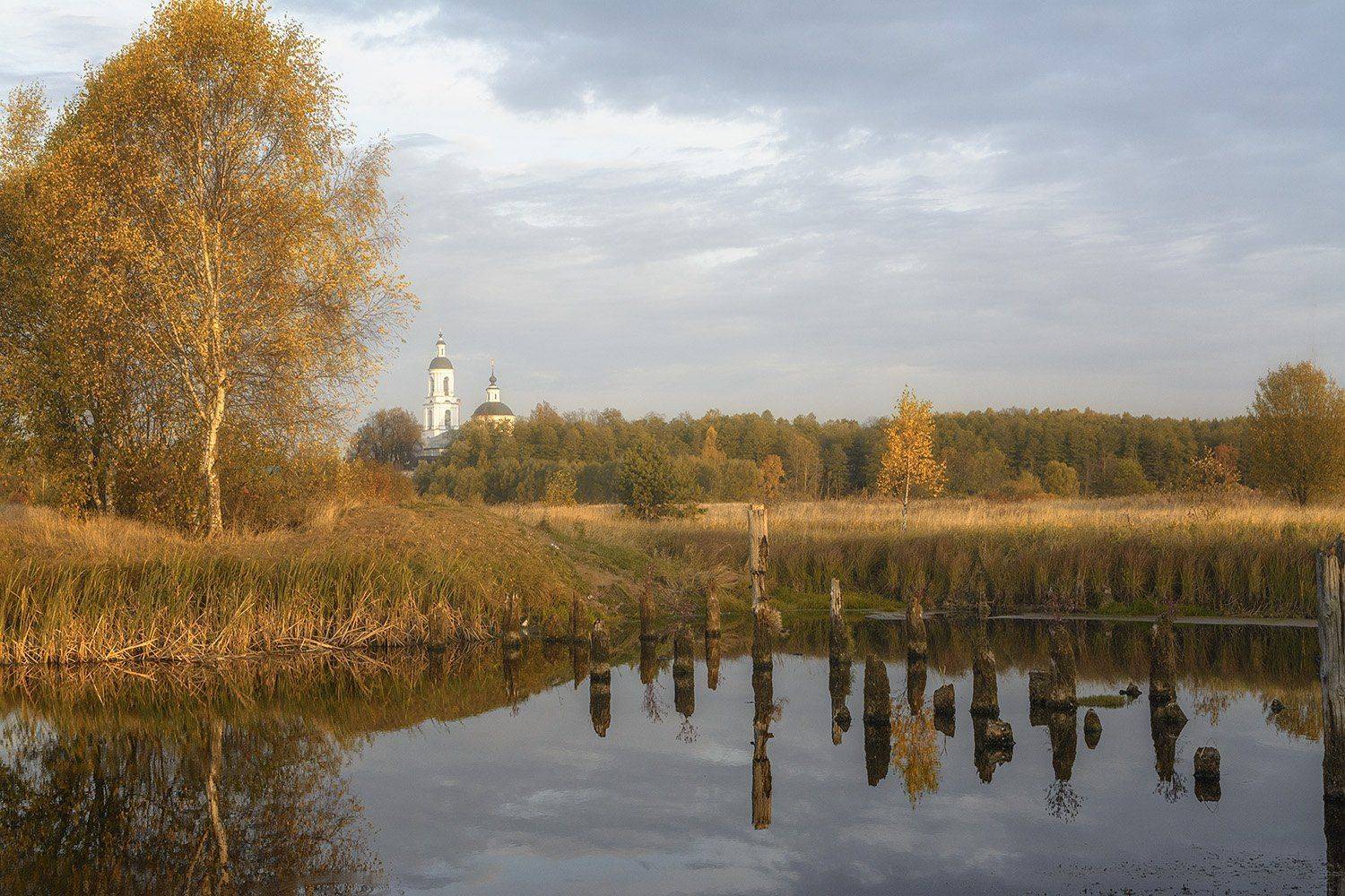 , Анатолий Зверев