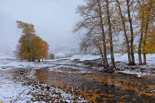 Сентябрьская метель