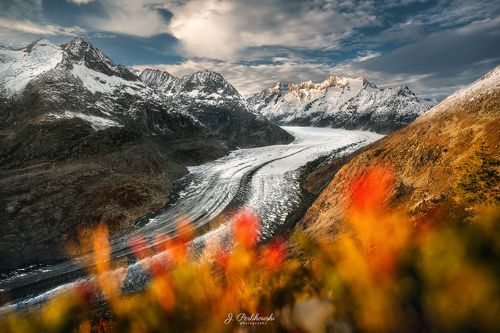 Aletsch Glacier