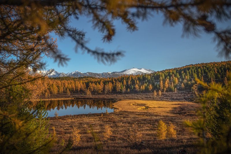 осенние зарисовски Алтай фото превью