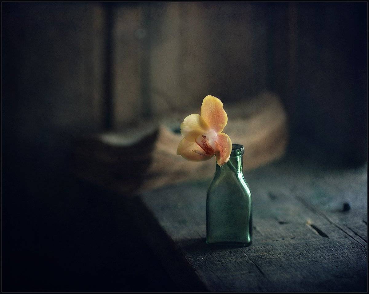 , Александр Хромеев