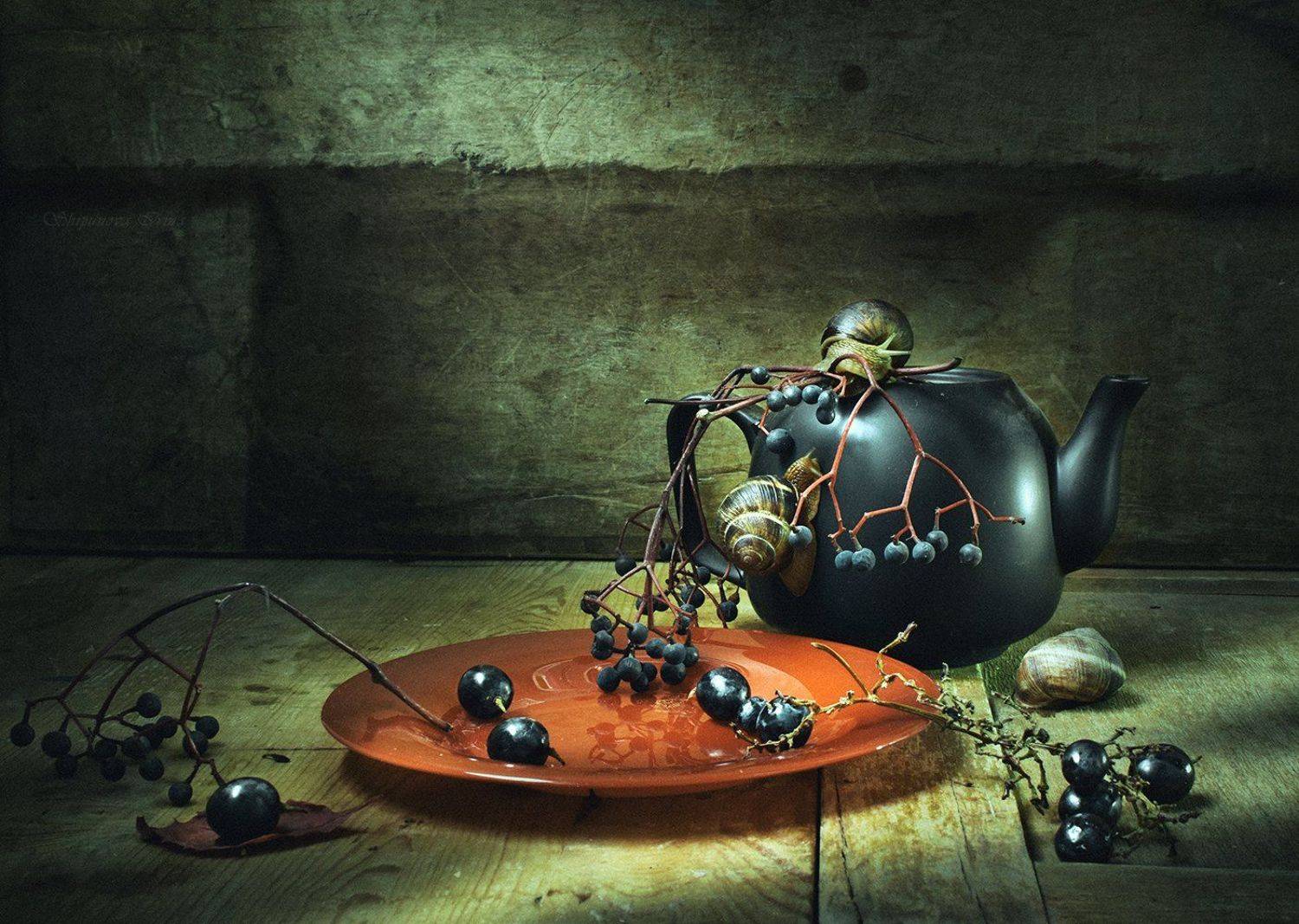 , Шипунова Ирина