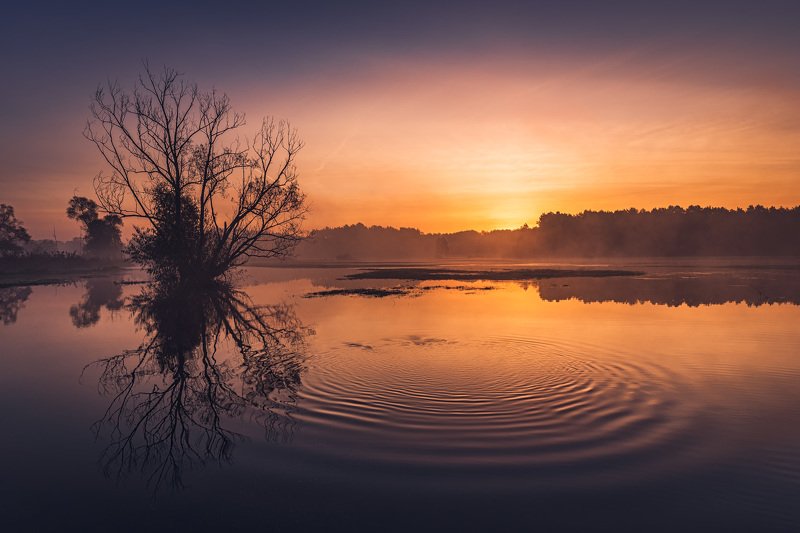 River backwaters фото превью