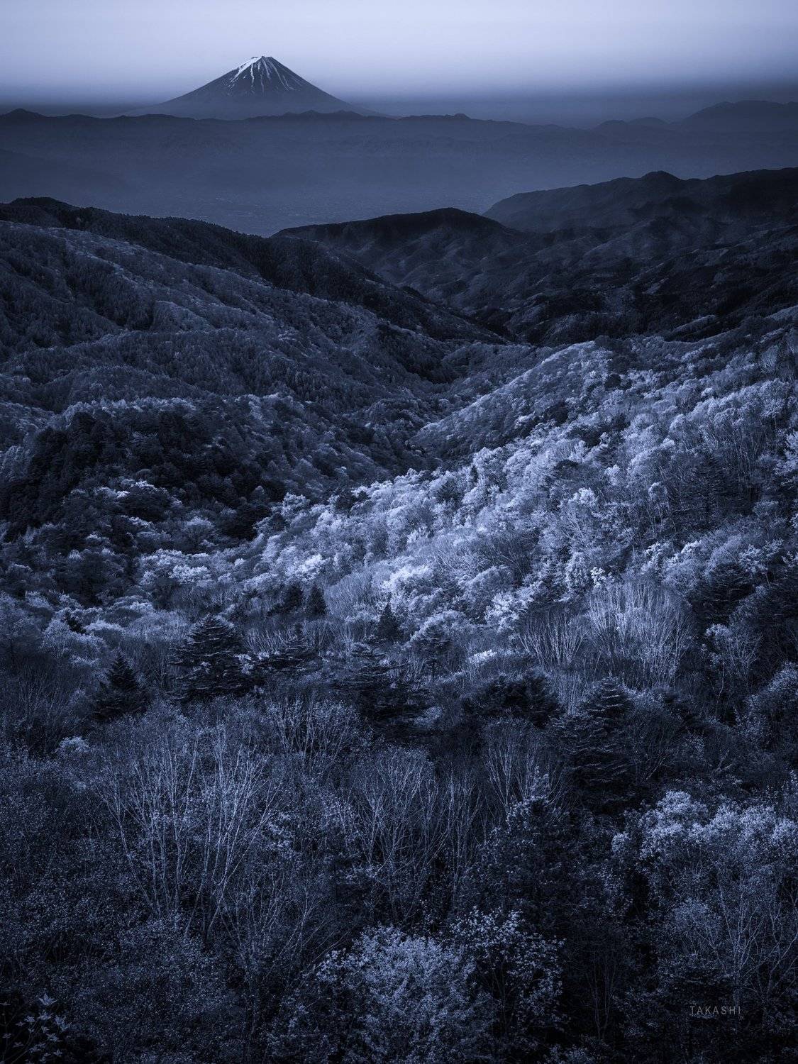 Fuji,Japan,mountain,forest,woods,tree,valley,autumn,, Takashi