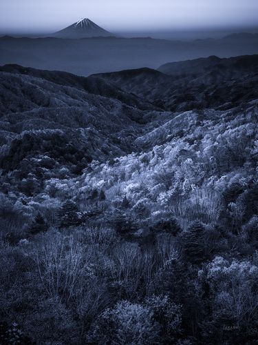 Valley of autumn leaves