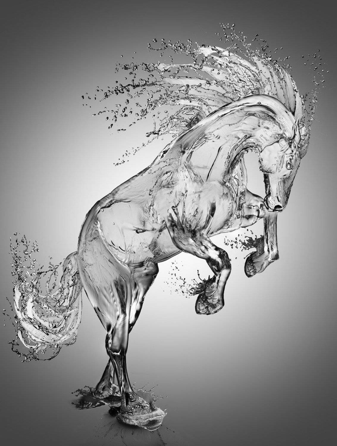 , Игорь Железняк