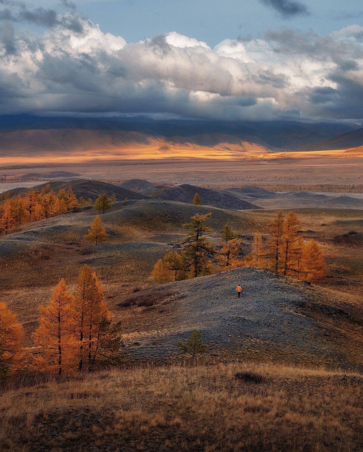 , Андрей Родионов