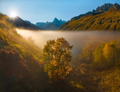 Туманная долина