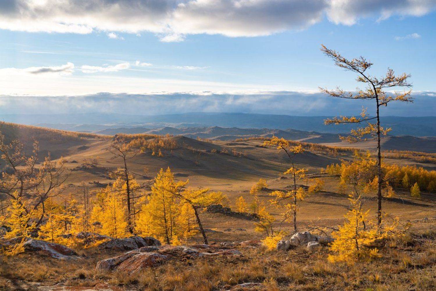 , Илья Буянов