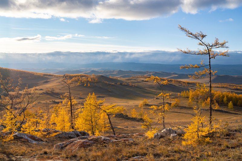Вечер в Тажеранах фото превью