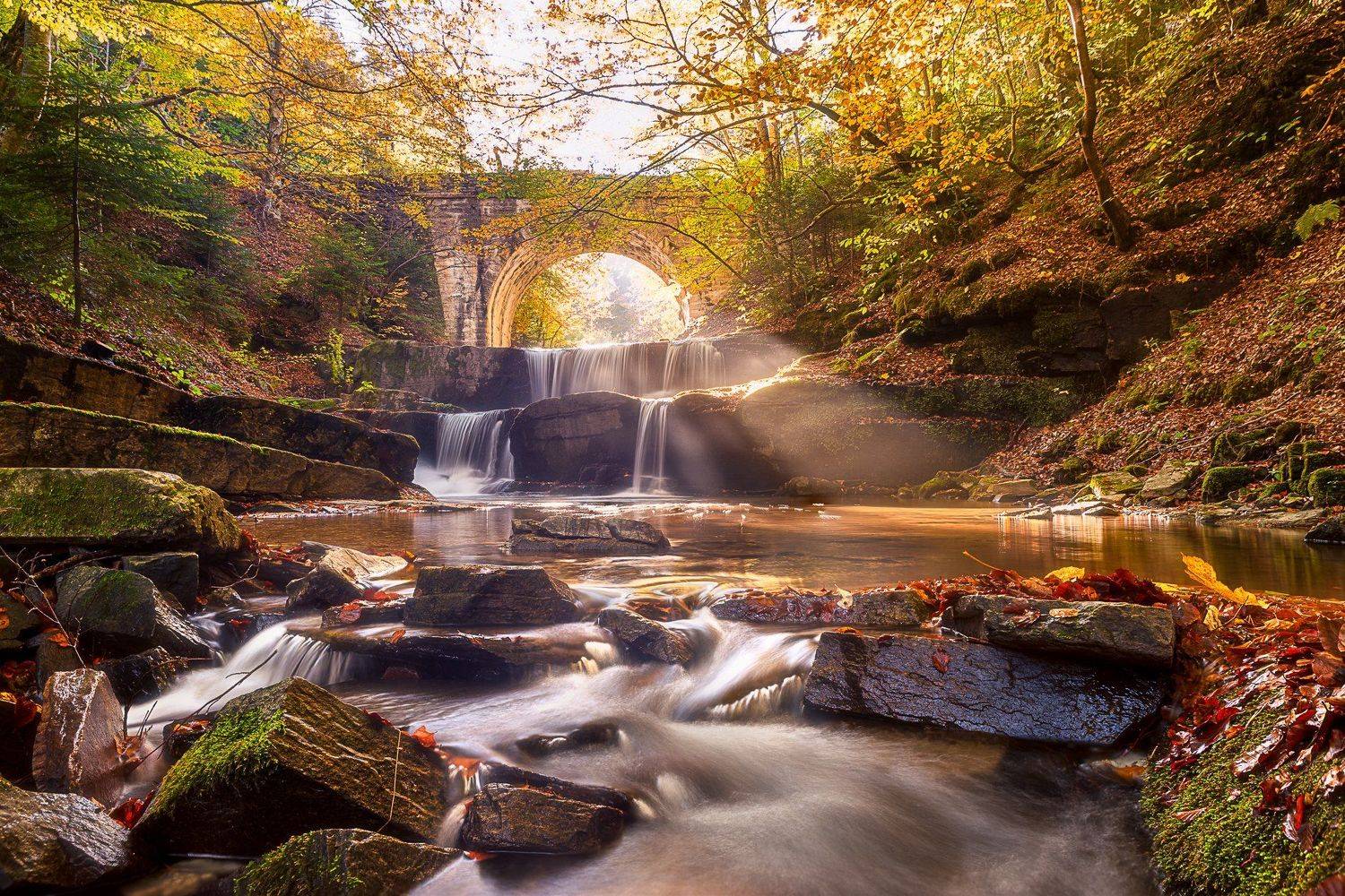 , Борислав Попов