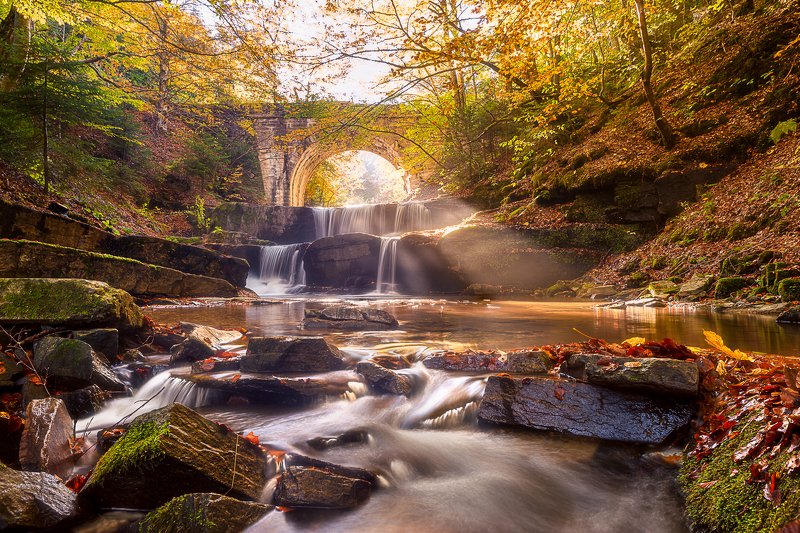 Sitovo фото превью
