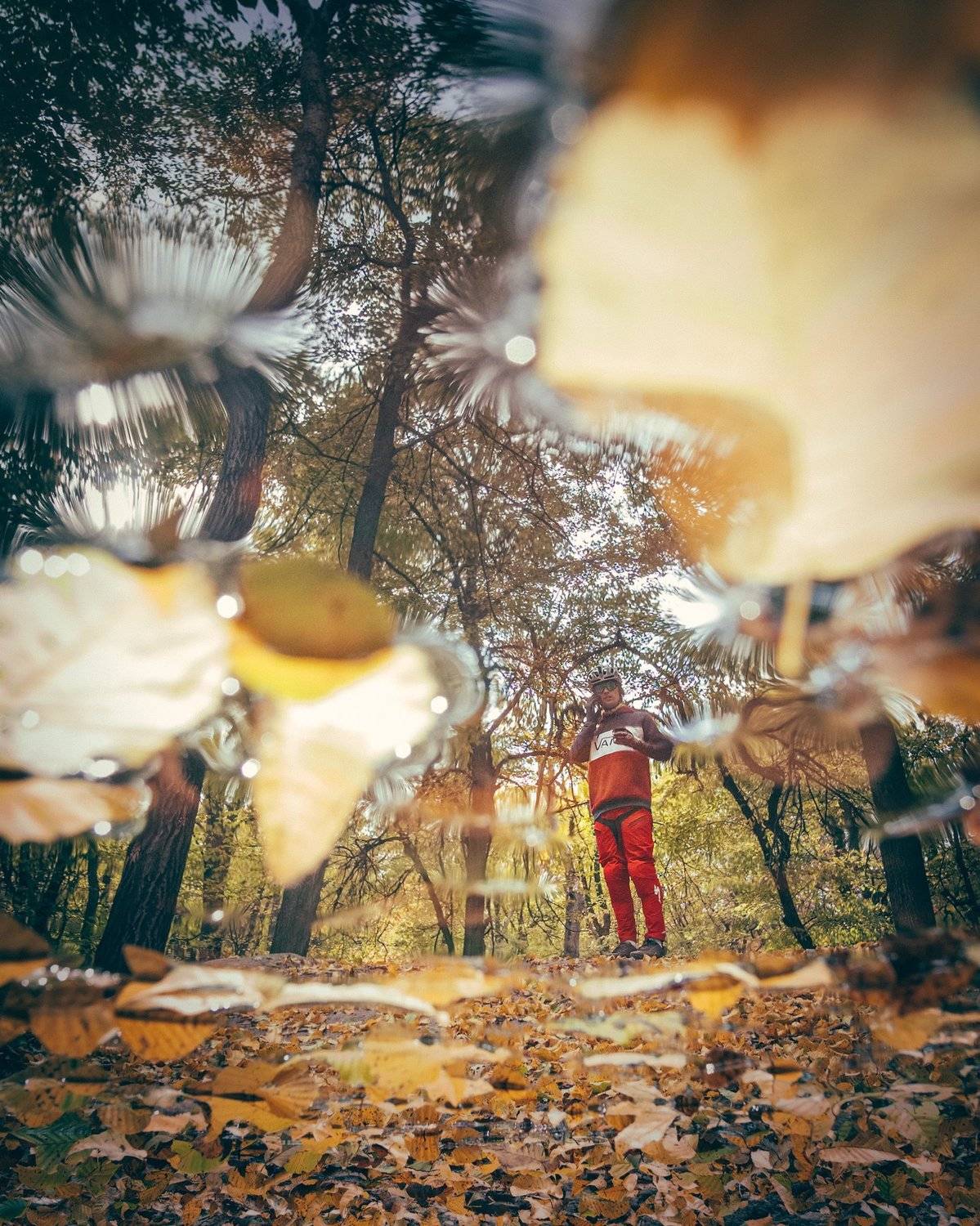 mtb, enduro, autumn, rider, cycle, велосипед, эндуро, осень, райдер, МТБ, экстремальный спорт, Юрий Никитюк