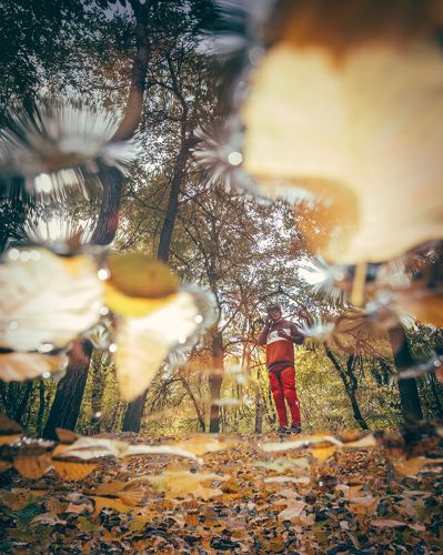 Enduro Series: Autumn Rider