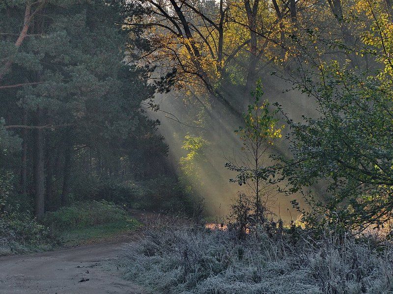 .... фото превью