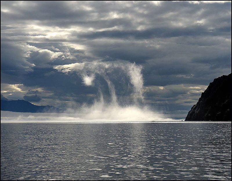 Выкрутасы острова Завъялова фото превью