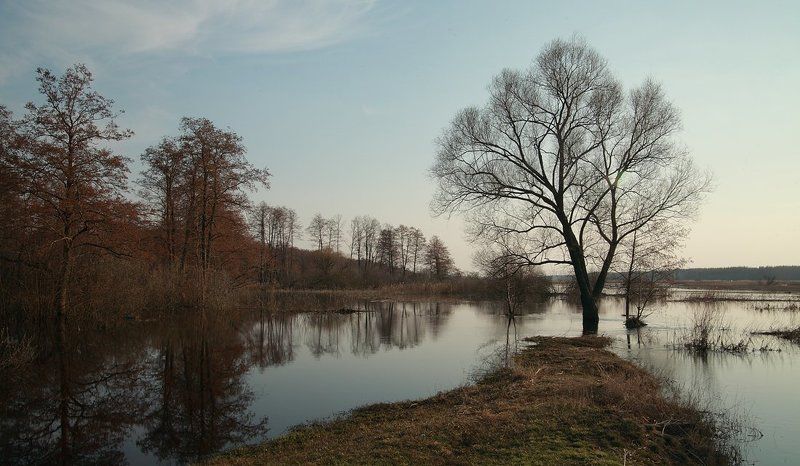 Разлив на реке Усманка фото превью