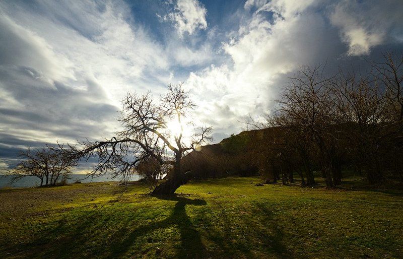 Крым фото превью
