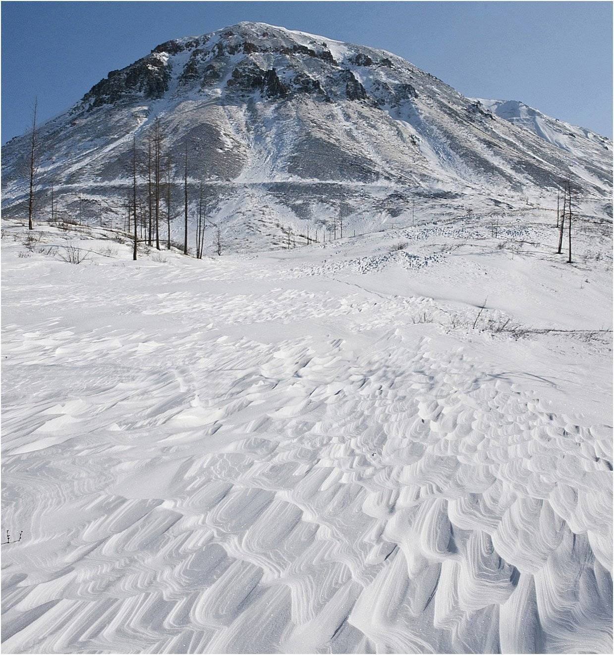 таймыр, Владимир