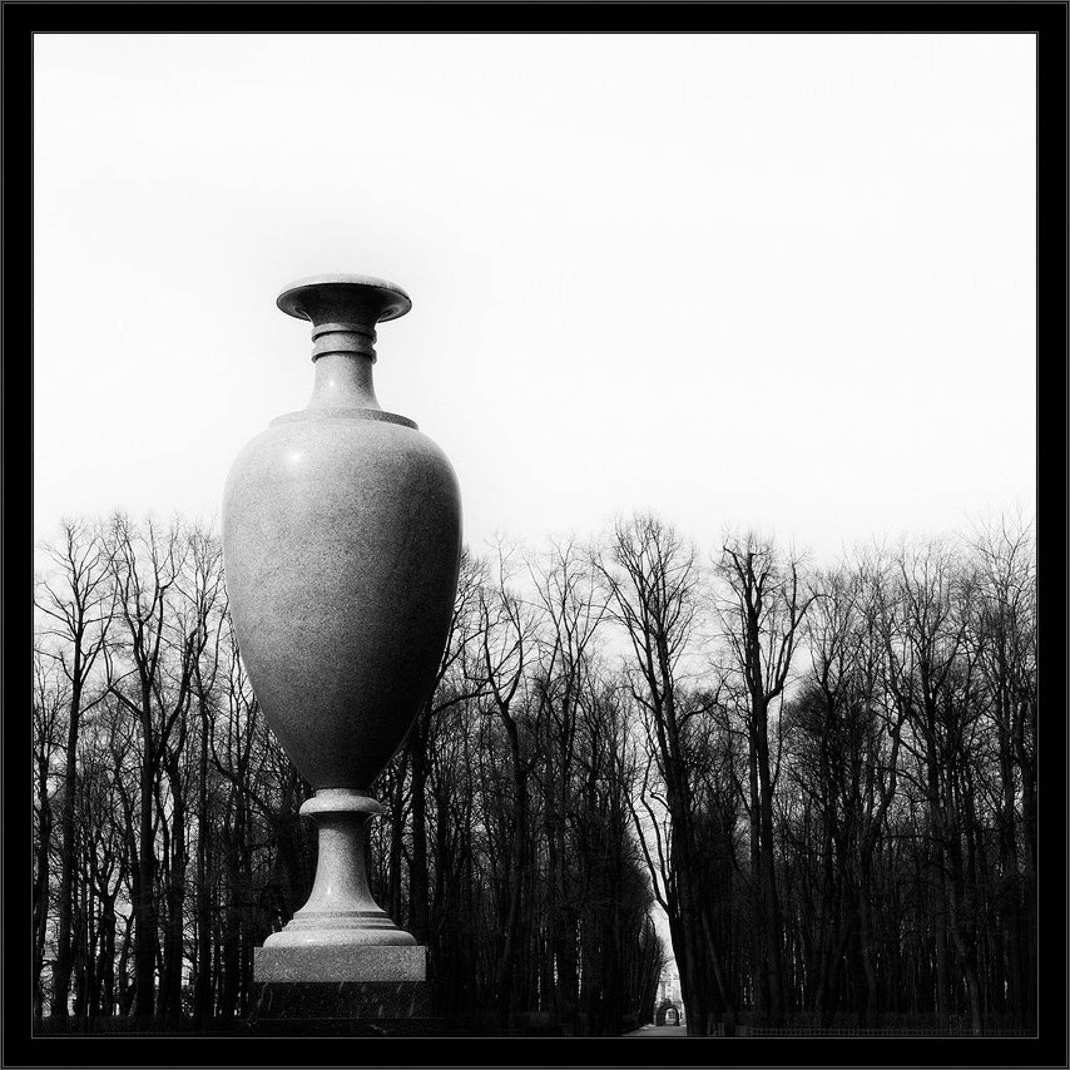 петербург, центр, летний сад, чб, квадрат, Kirill Shapovalov