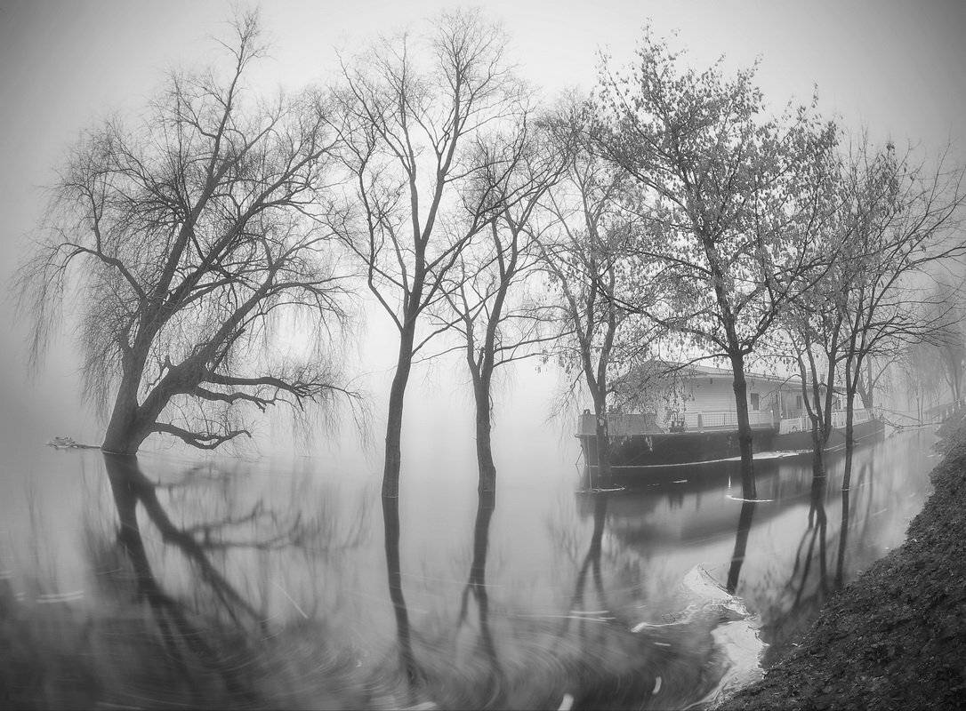 , Сергей Шляга