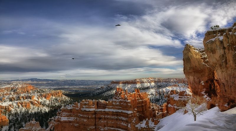 mc, usa, winter, bryce Летели.. фото превью