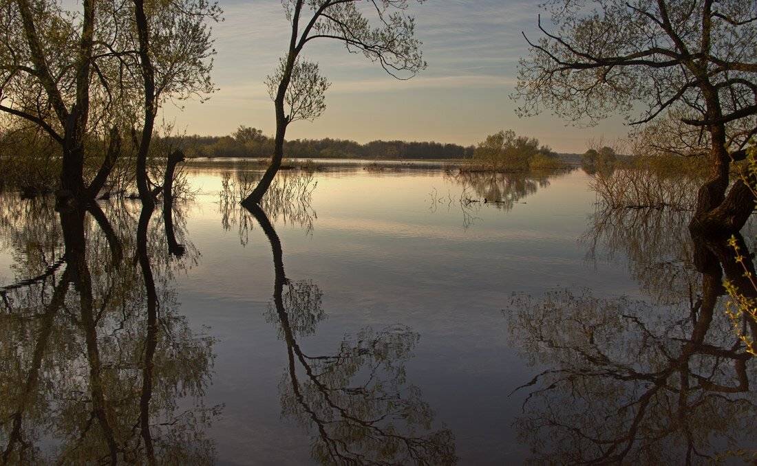 , Валерий Кондратов