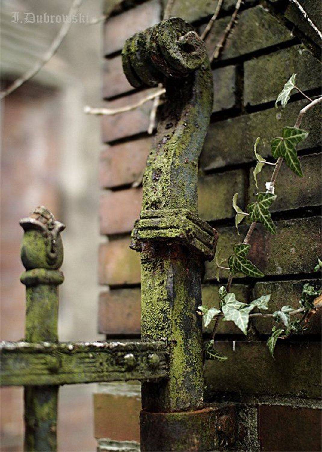 , Игорь Дубровский