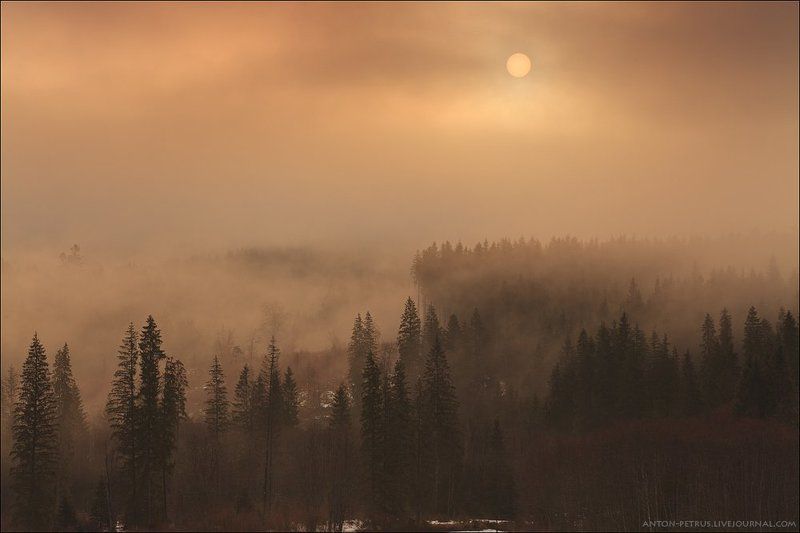 Карпатская весна фото превью