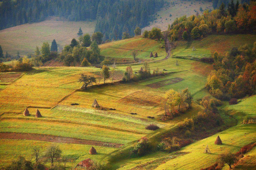 карпаты, октябрь, осень, утро, Вейзе Максим