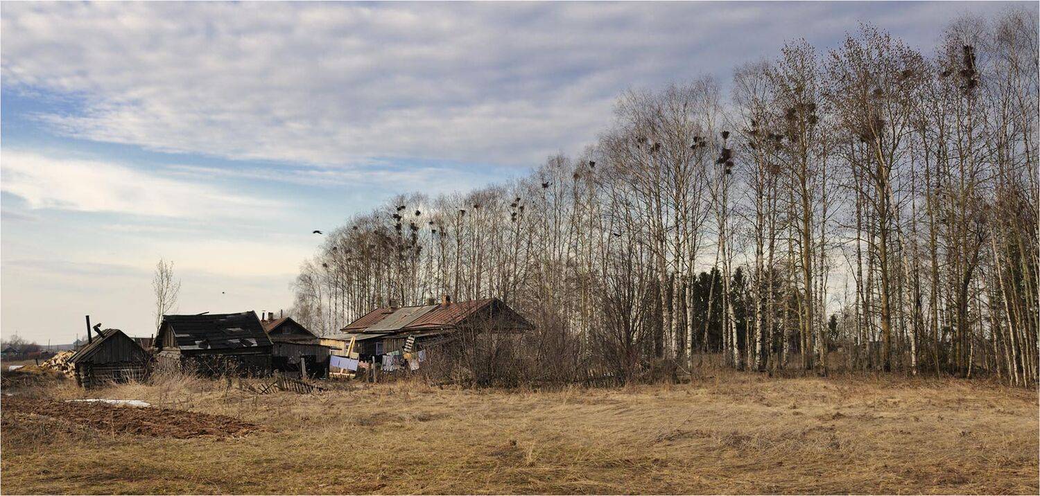 , Анатолий Гулин