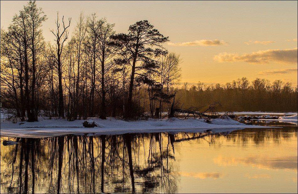 , Бурлов Андрей