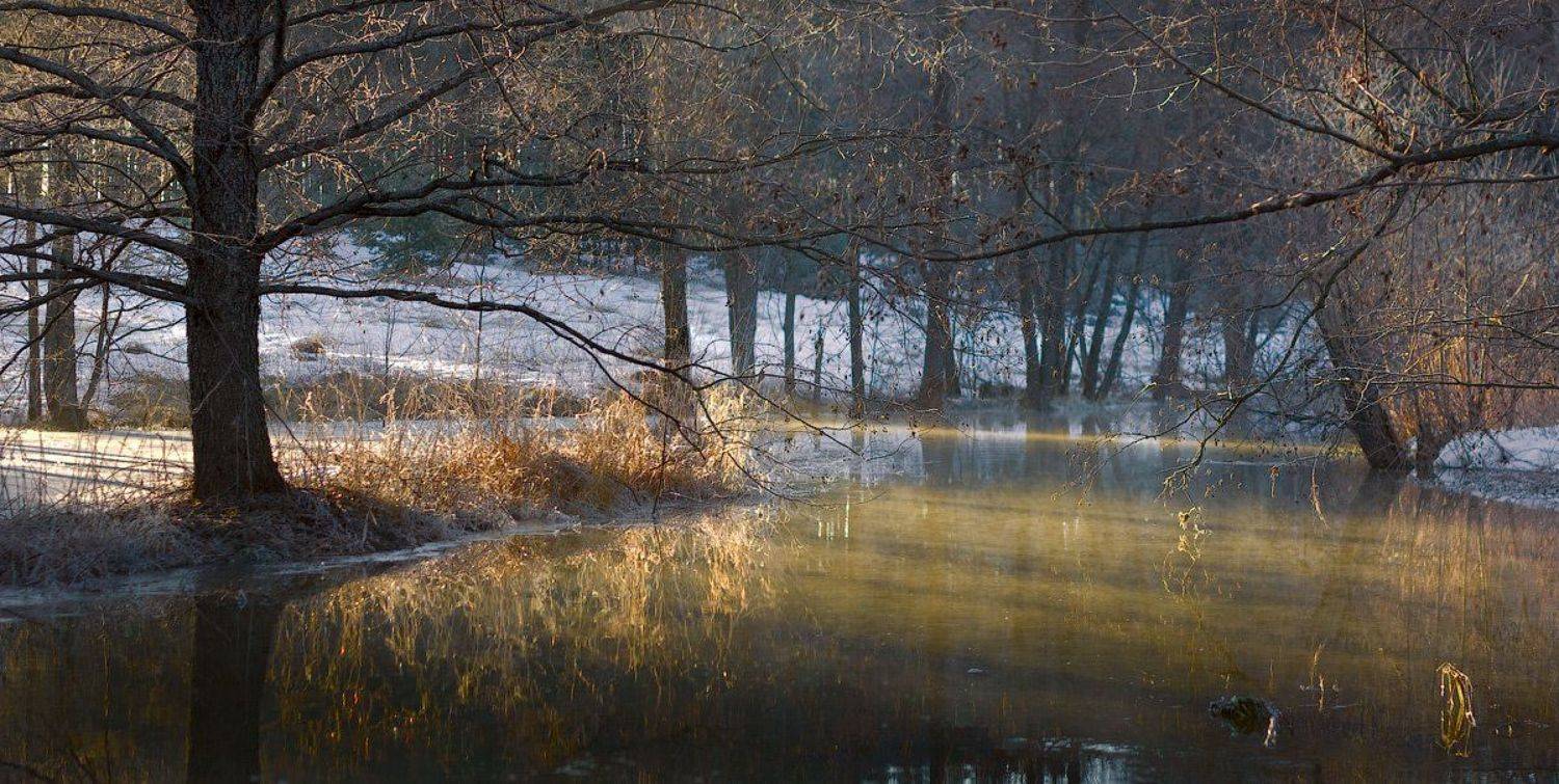 утро, лучи, суворощь, половодье, апрель, Дмитрий Алексеев