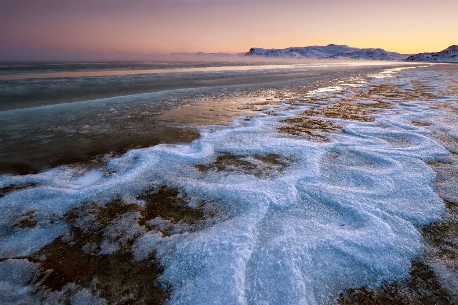 , Максим Евдокимов