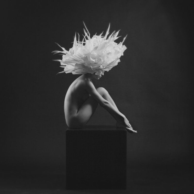 Flower фото превью