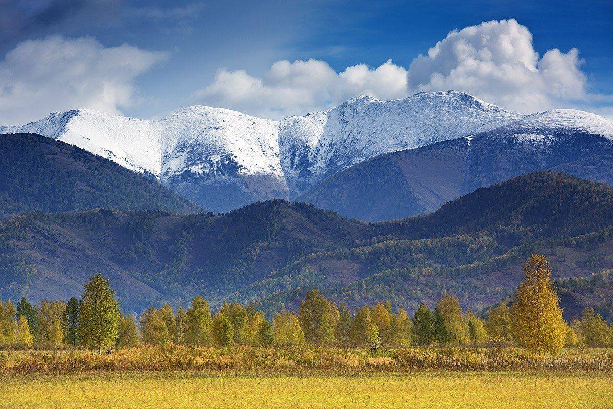 , Качурин Алексей