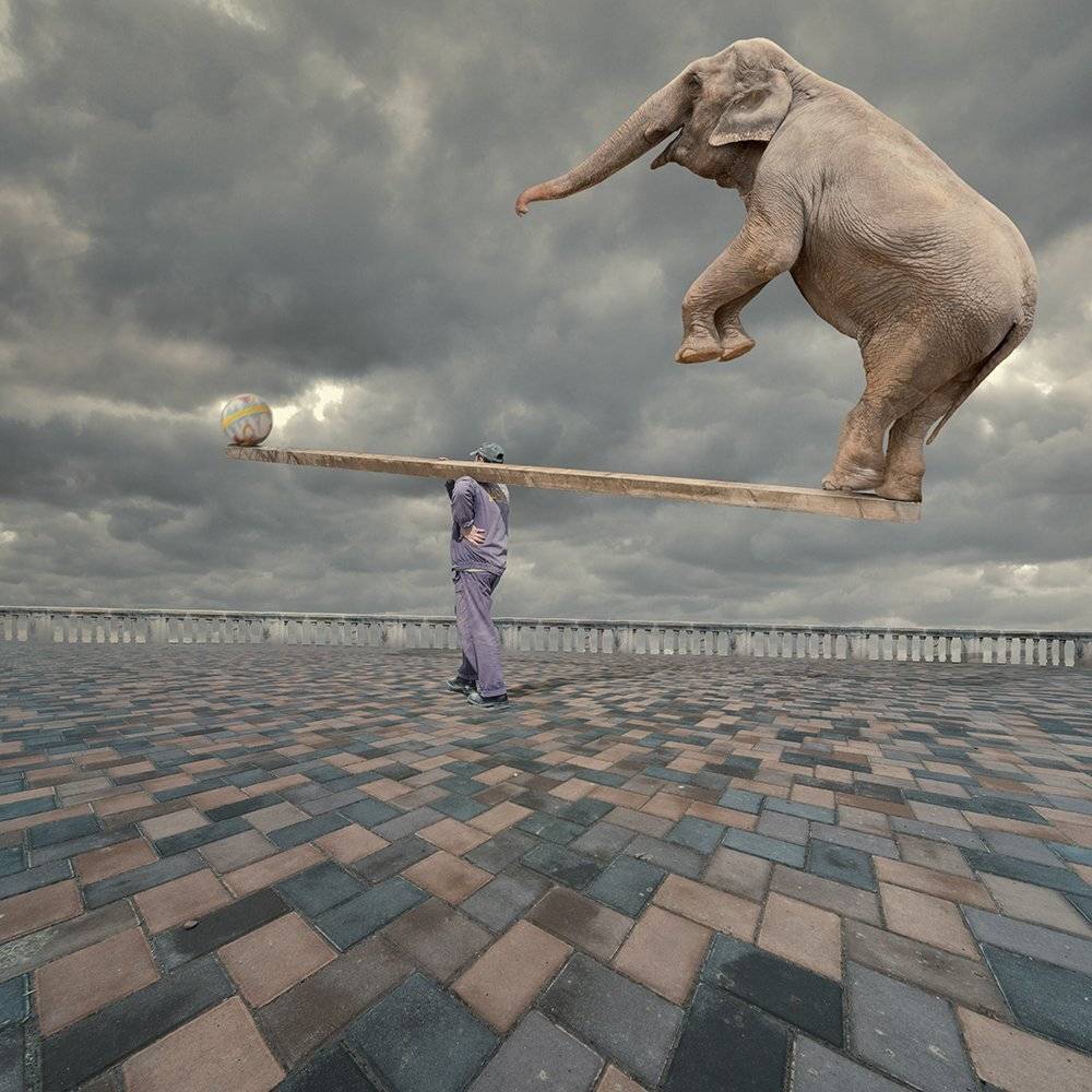 elephant, man, wood, balance, tutorials, psd, manipulation, photoshop, sky, clouds, stone, brick, square, ball, acrobatic, adrenaline, Caras Ionut