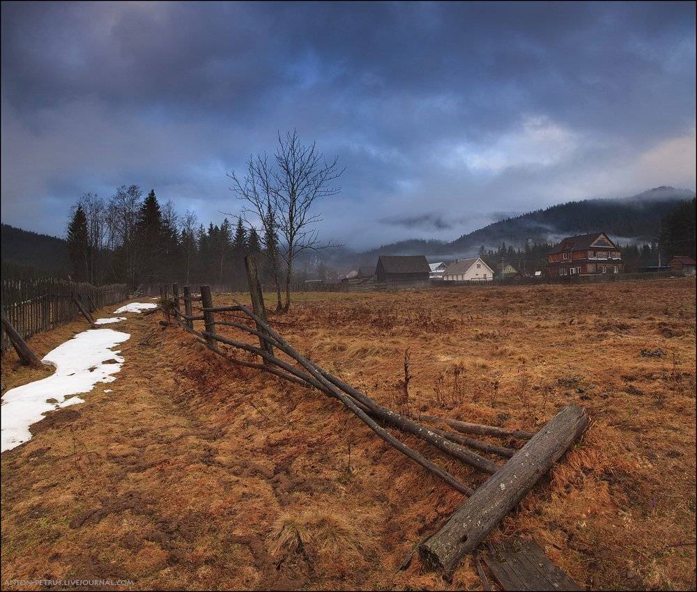 карпаты,горы,туман,рассвет,весна,лес,солнце, Антон Петрусь